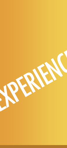 Experience